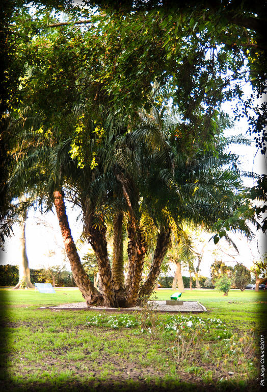Colon Hotel De Campo Resort & Spa Santa Fe Luaran gambar